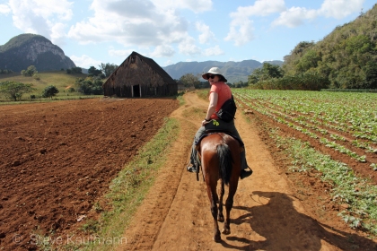 Horseback with cigar, Viñales Valley, Cuba