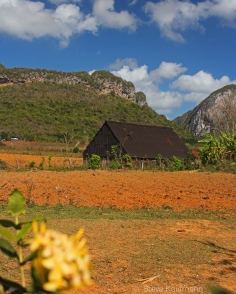 Tobacco barn & magotes Viñales Valley, Cuba